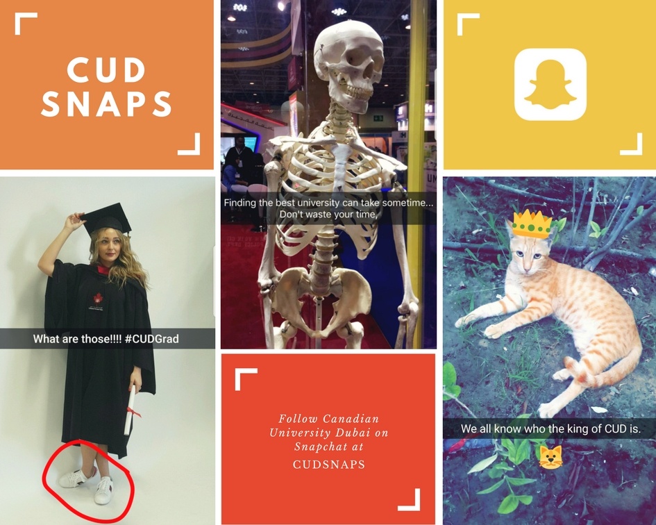Canadian University Dubai Snapchat Marketing UAE University 1.jpg